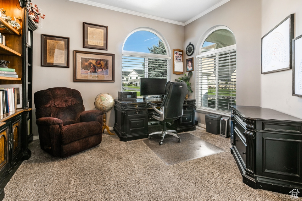 Office area with carpet floors and ornamental molding