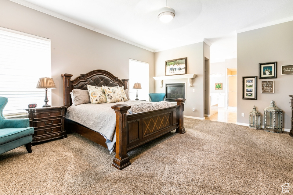 Carpeted bedroom with ornamental molding and connected bathroom