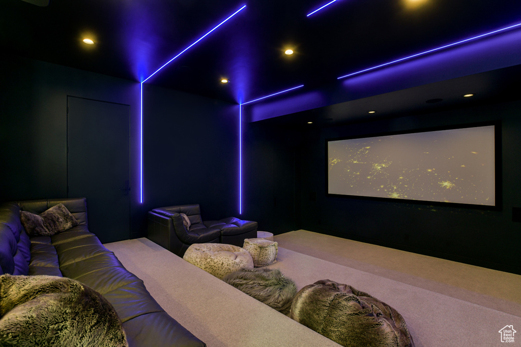 Cinema room featuring carpet
