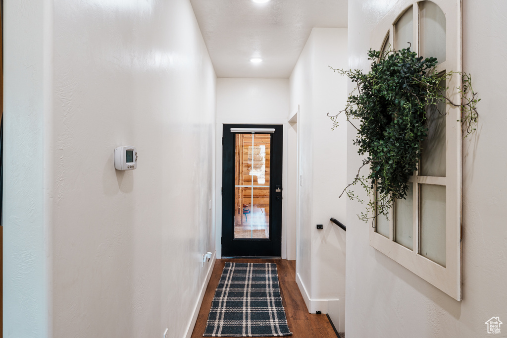 Doorway to outside with dark hardwood / wood-style flooring
