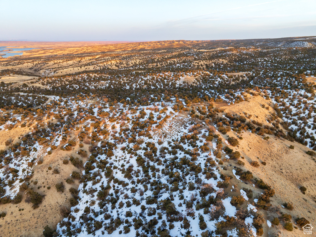 View of bird's eye view