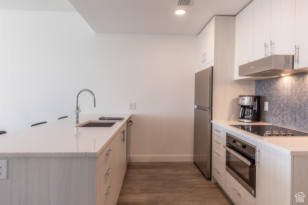 Kitchen with dark hardwood / wood-style floors, sink, tasteful backsplash, stainless steel appliances, and light stone counters