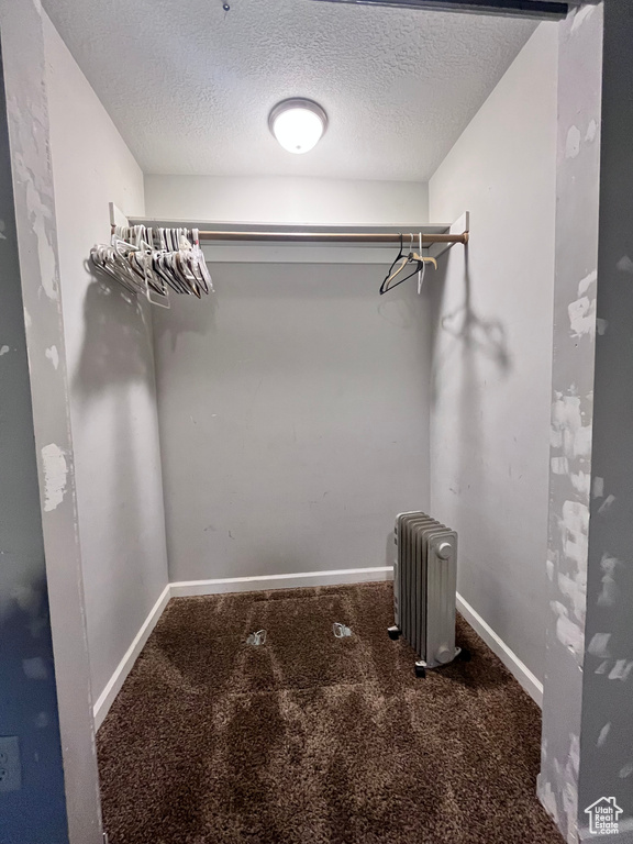 Walk in closet with carpet and radiator heating unit