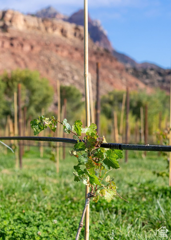 Exterior details with a mountain view