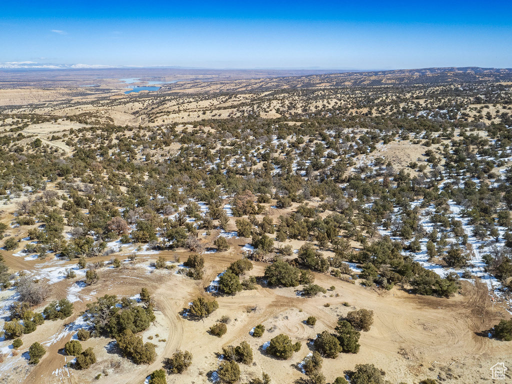 View of bird's eye view