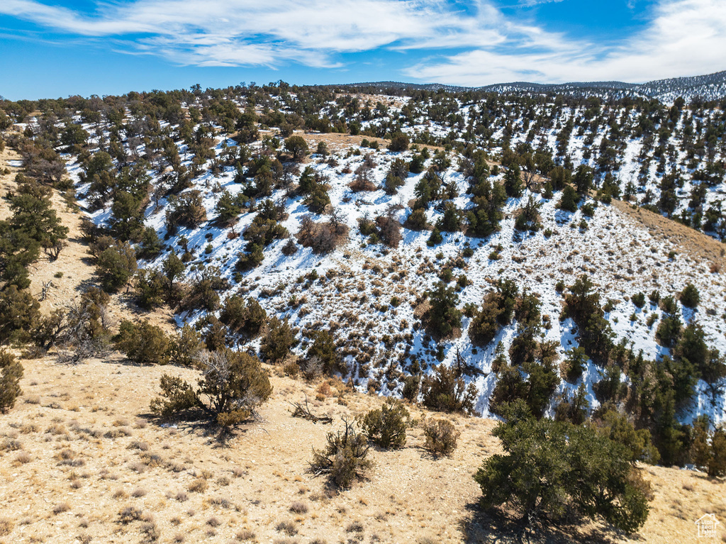 View of drone / aerial view