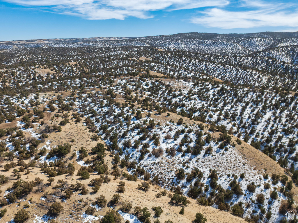 Drone / aerial view featuring a mountain view