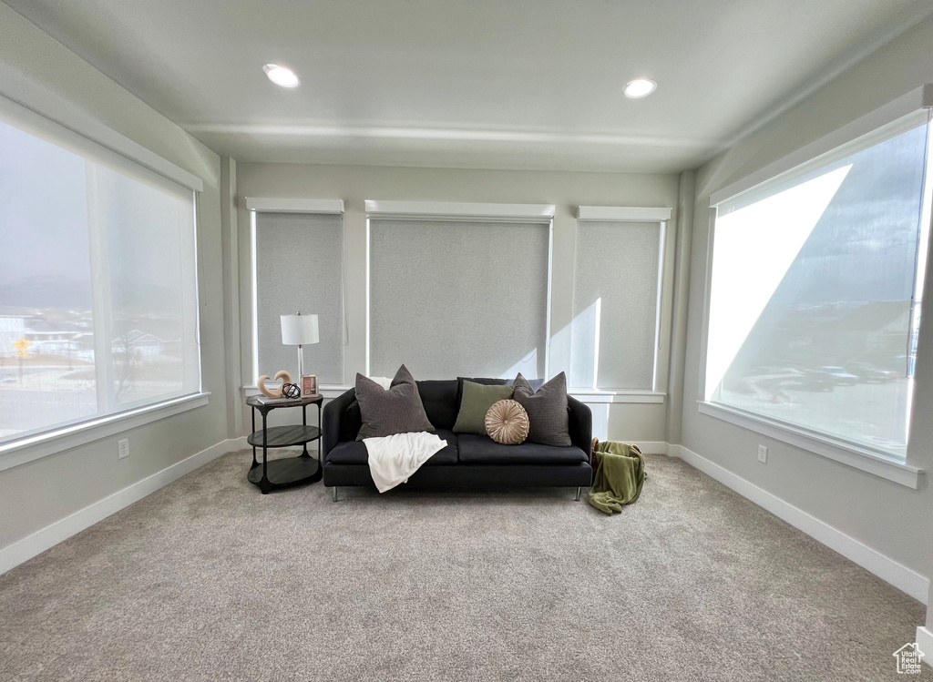 Sitting room featuring light colored carpet and a healthy amount of sunlight