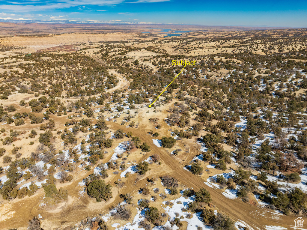 View of bird's eye view