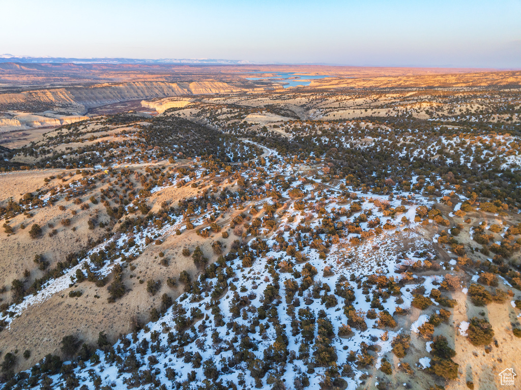 View of bird's eye view