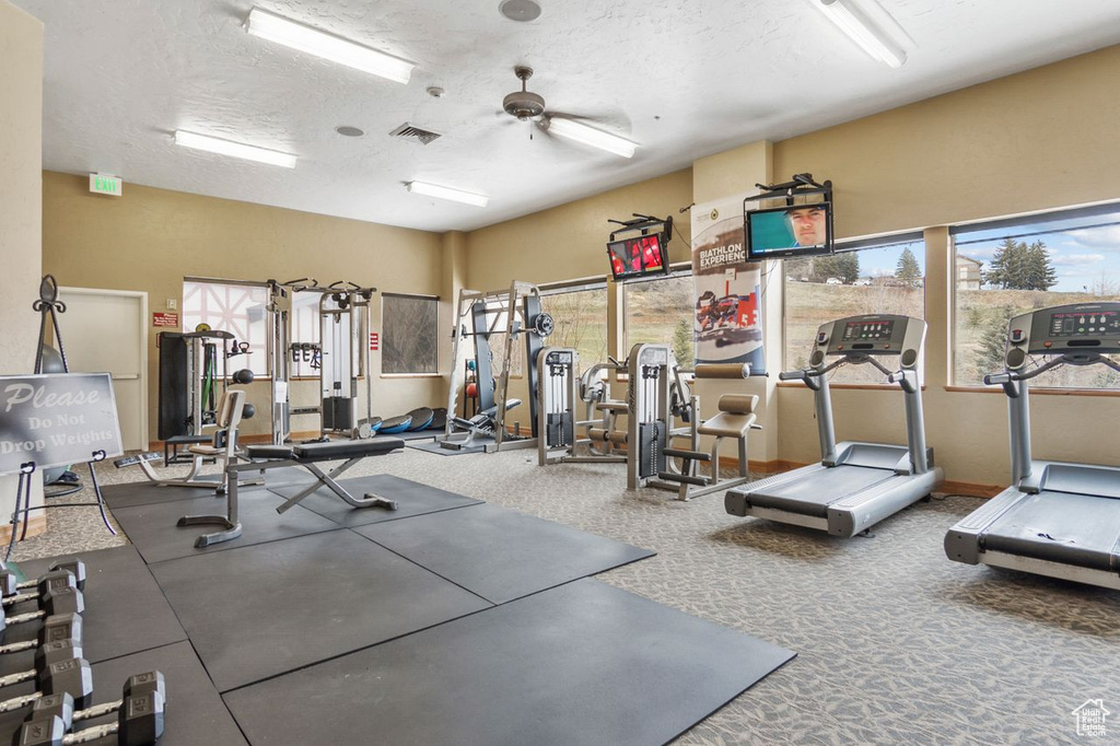 Exercise room featuring a textured ceiling, carpet flooring, and ceiling fan