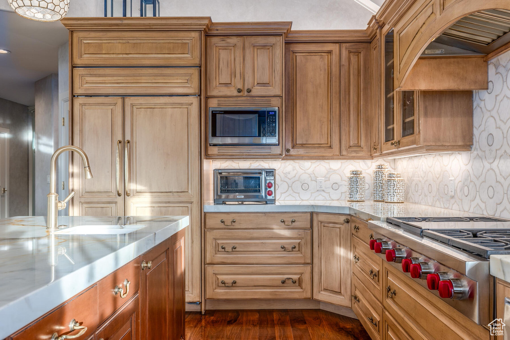 Kitchen with dark hardwood / wood-style floors, tasteful backsplash, built in appliances, premium range hood, and sink