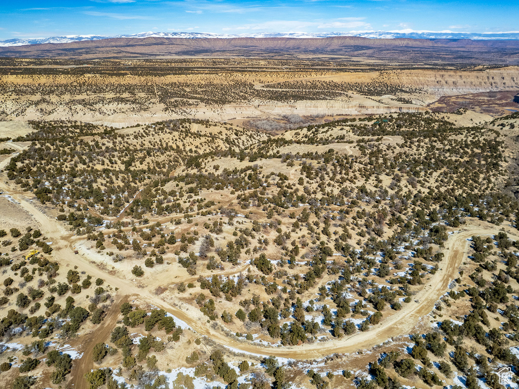 Birds eye view of property with a mountain view