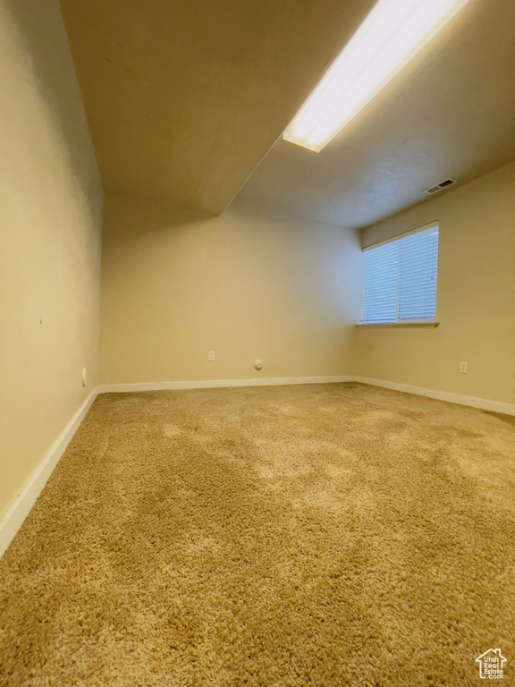 Additional living space featuring carpet floors
