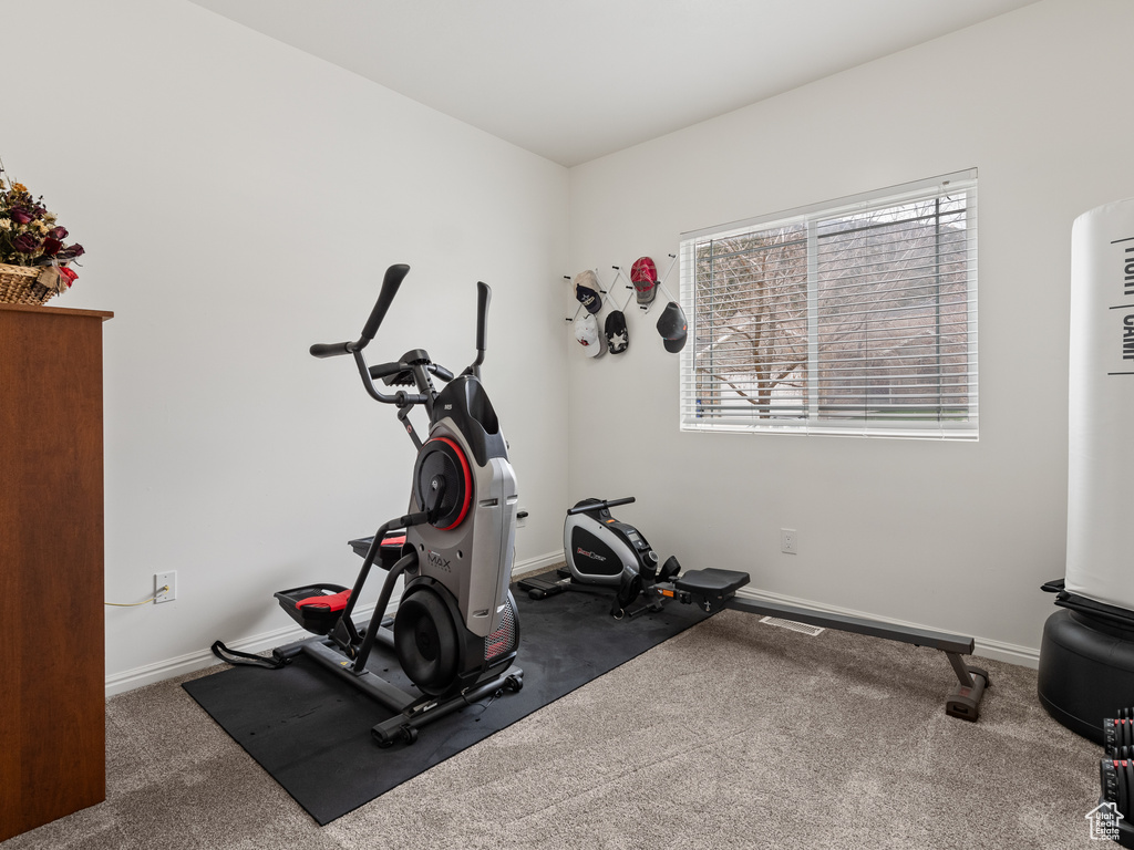 Workout area with dark colored carpet
