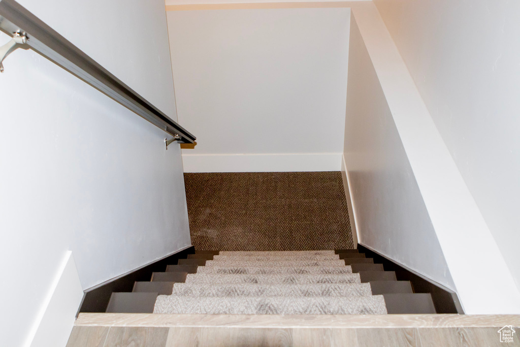 Staircase featuring carpet