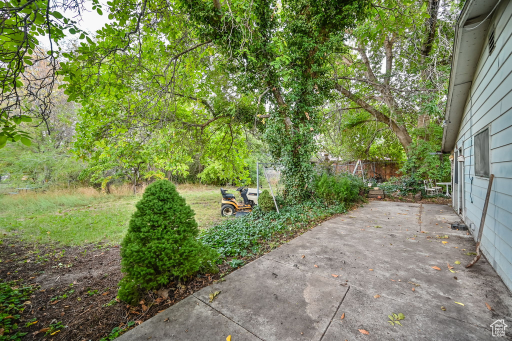 View of yard featuring a patio