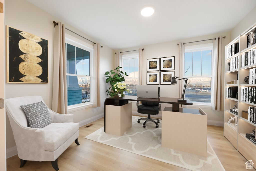 Office featuring light hardwood / wood-style floors and plenty of natural light