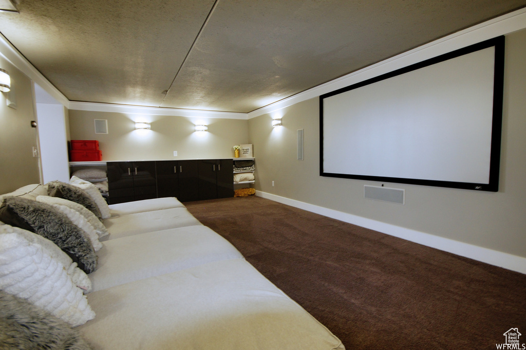 Cinema room featuring dark carpet and crown molding