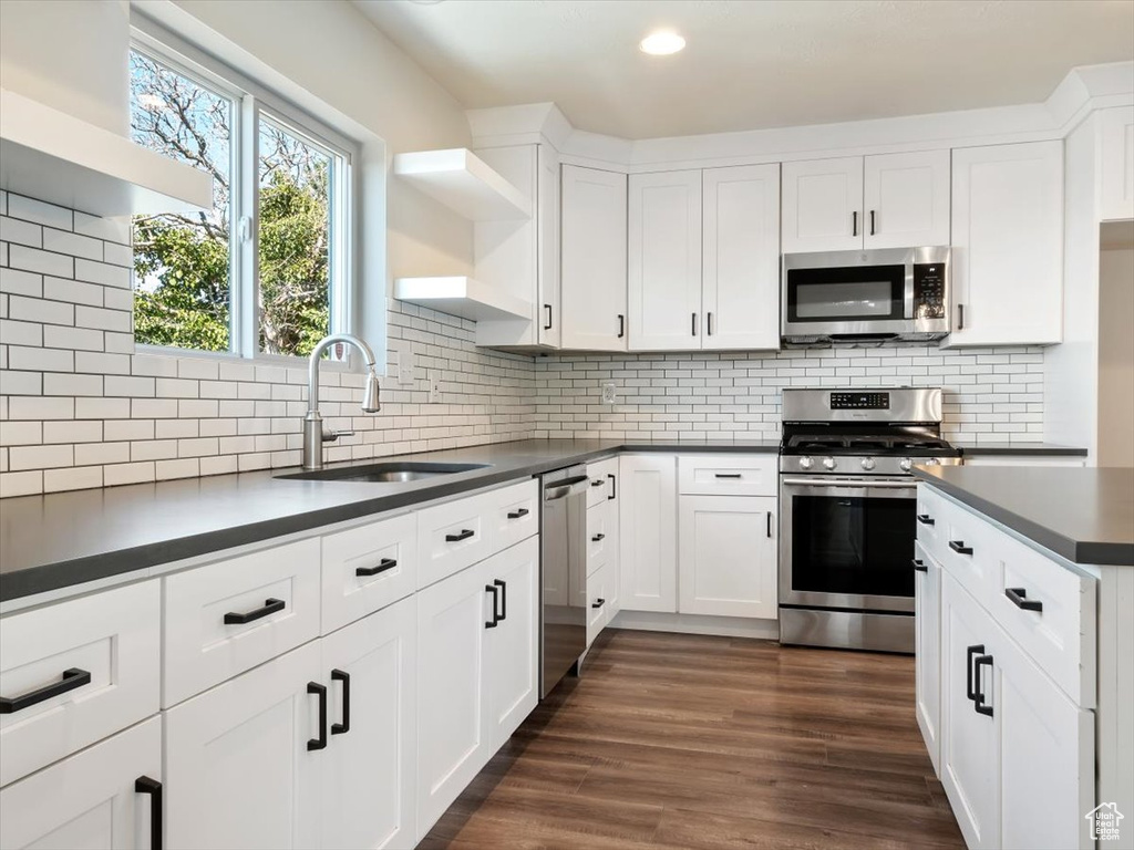 Kitchen featuring dark wood-type flooring, sink, appliances with stainless steel finishes, and backsplash