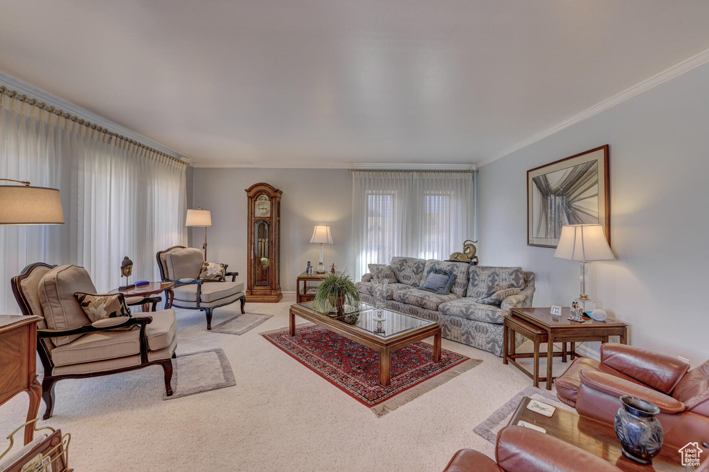 Carpeted living room featuring ornamental molding