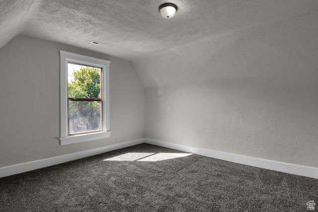 Bonus room featuring a textured ceiling, vaulted ceiling, and carpet