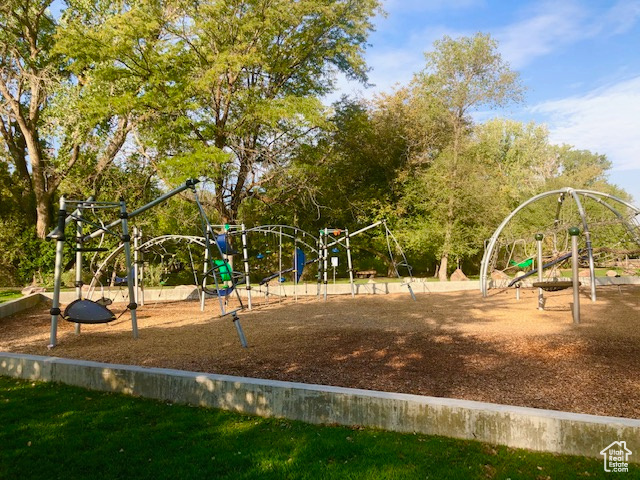 View of jungle gym
