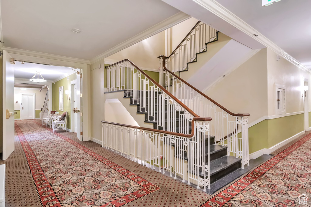 Staircase featuring crown molding and carpet floors