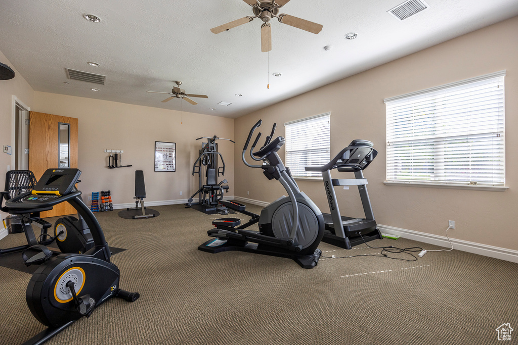Workout room with carpet flooring and ceiling fan
