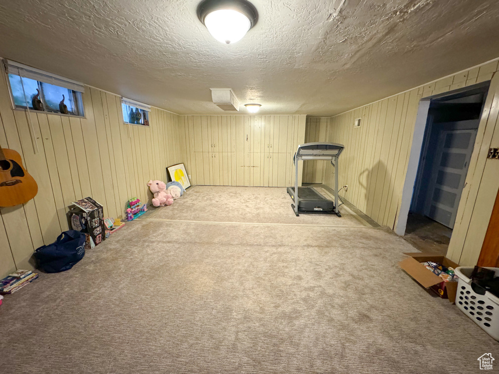 Rec room with carpet floors and a textured ceiling