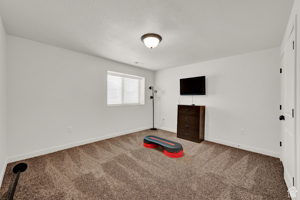 Interior space with dark carpet