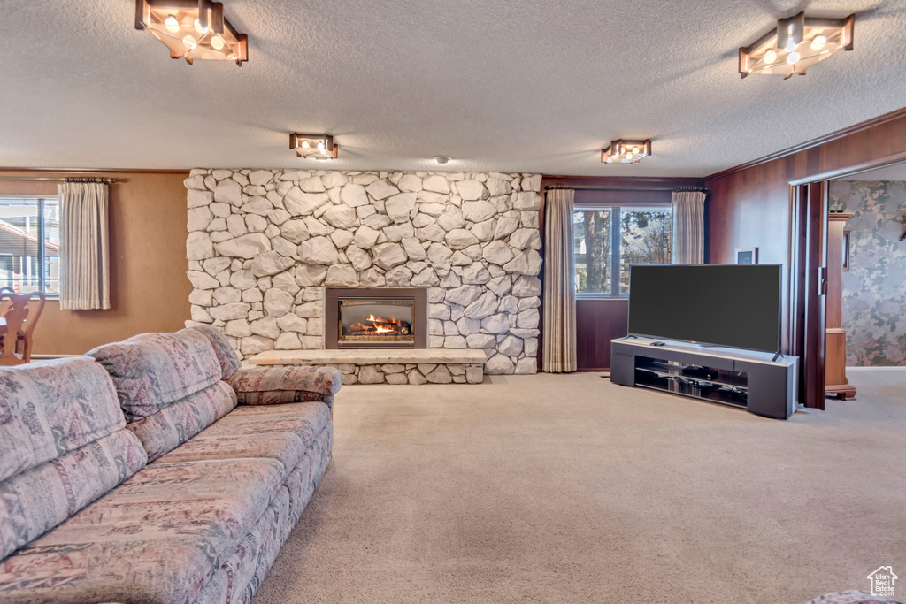 Carpeted living room featuring a textured ceiling and a stone fireplace