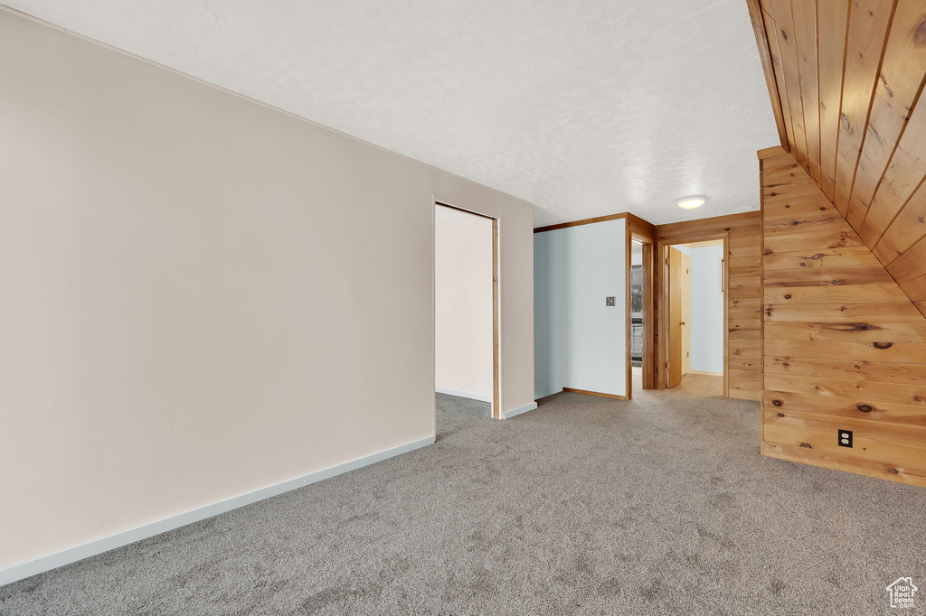 Additional living space featuring light colored carpet and wood walls