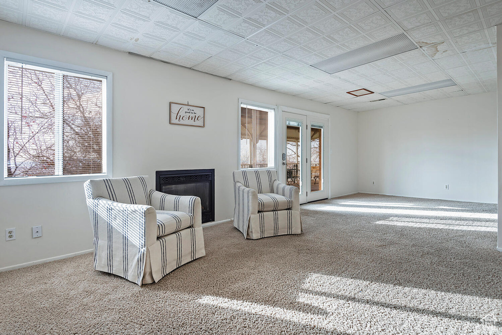 Living area featuring light colored carpet and a healthy amount of sunlight