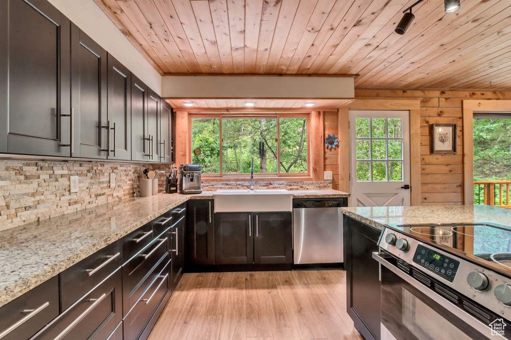 Kitchen with stainless steel appliances, light hardwood / wood-style floors, and plenty of natural light