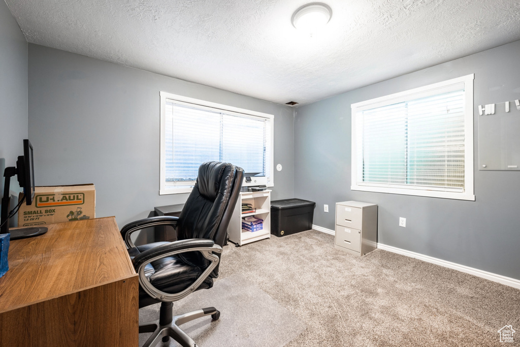 Office space featuring light colored carpet, a textured ceiling, and plenty of natural light