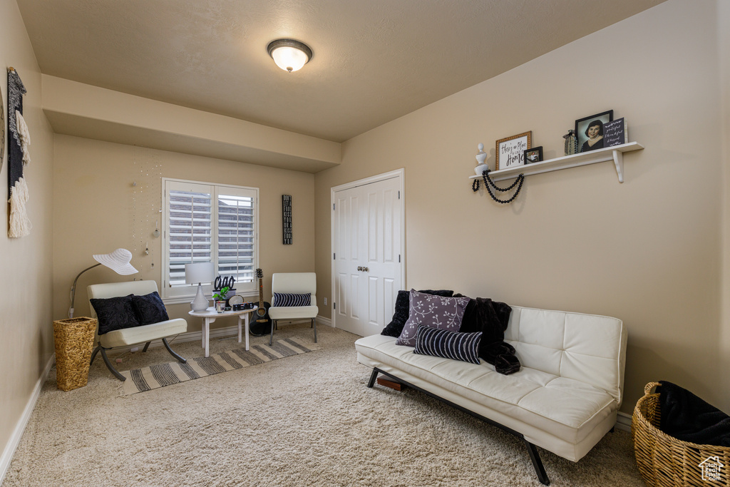Living area featuring carpet flooring