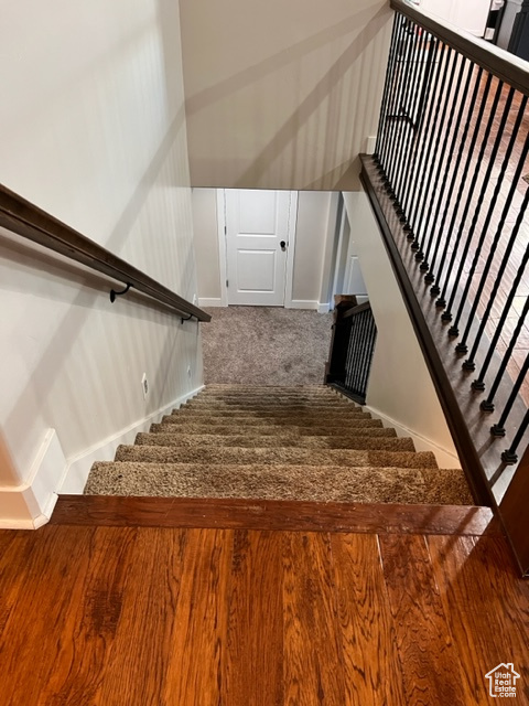 Staircase featuring carpet floors