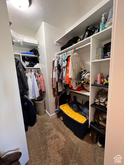 Spacious closet featuring carpet