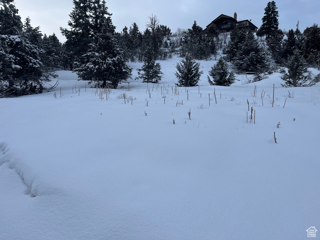 170 E WHISPERING PINES DR Mt Pleasant, UT 84647