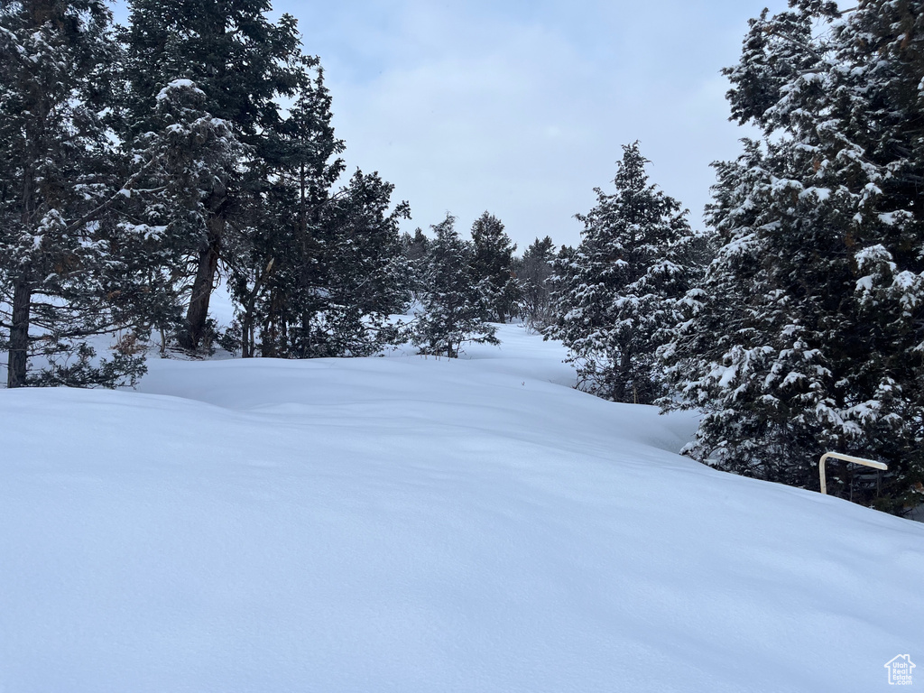 170 E WHISPERING PINES DR Mt Pleasant, UT 84647