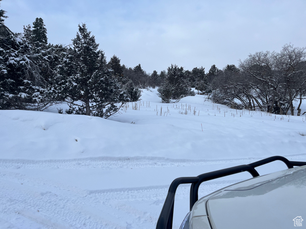 170 E WHISPERING PINES DR Mt Pleasant, UT 84647