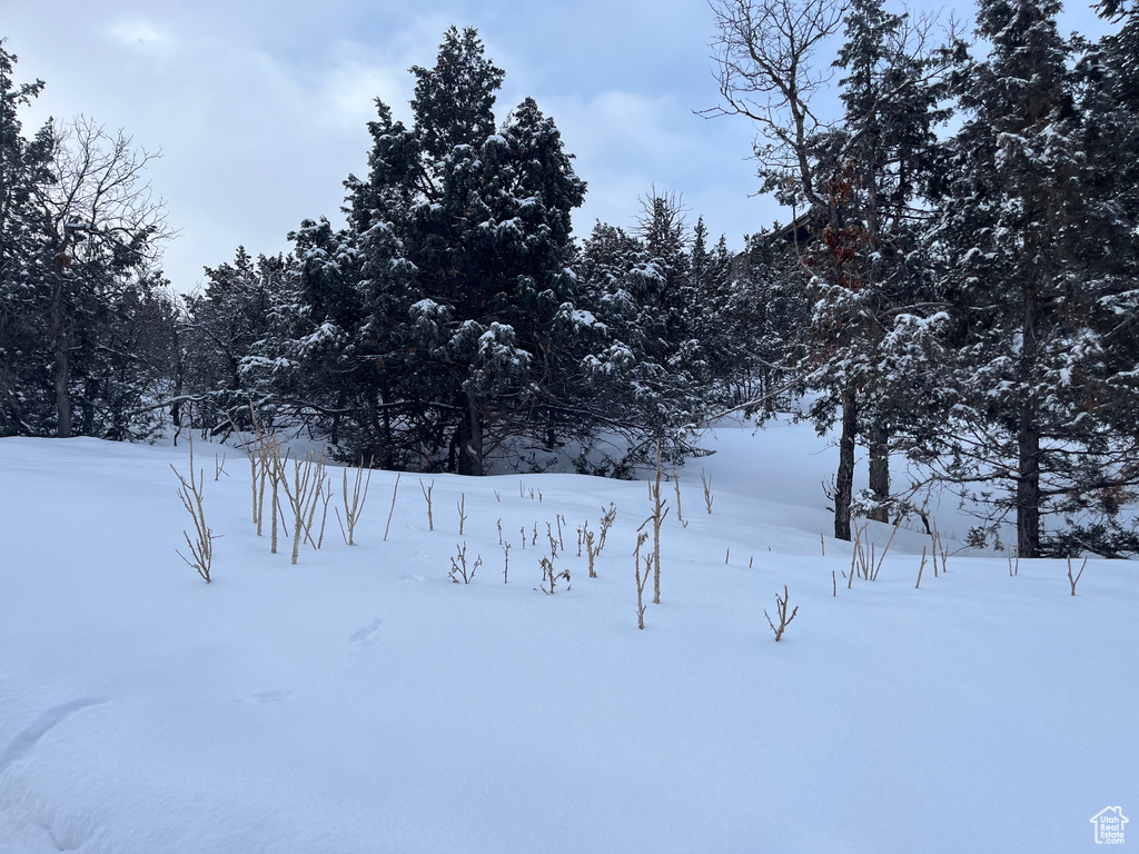 170 E WHISPERING PINES DR Mt Pleasant, UT 84647