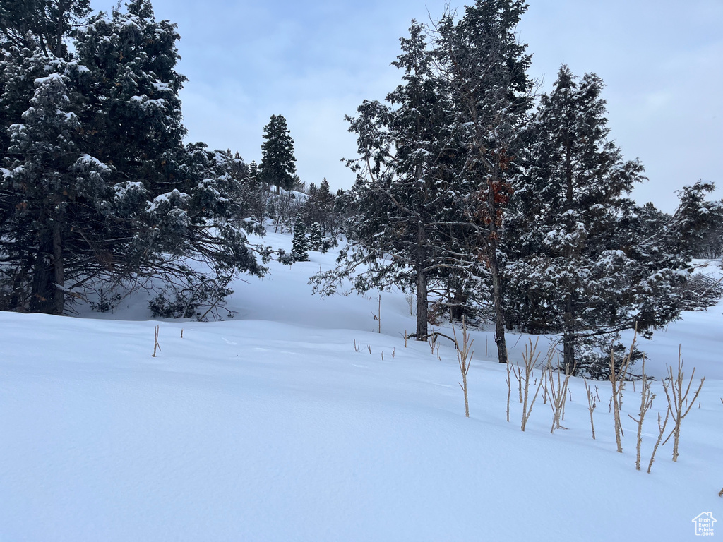 170 E WHISPERING PINES DR Mt Pleasant, UT 84647