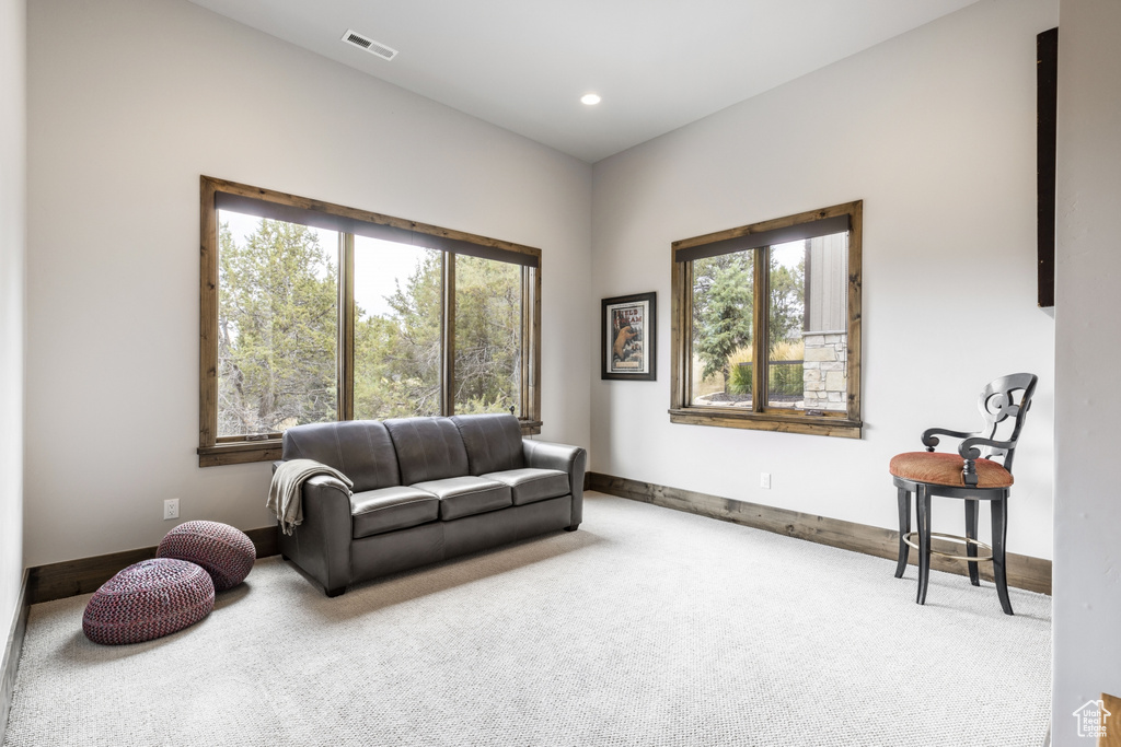 Living area featuring a wealth of natural light and light carpet