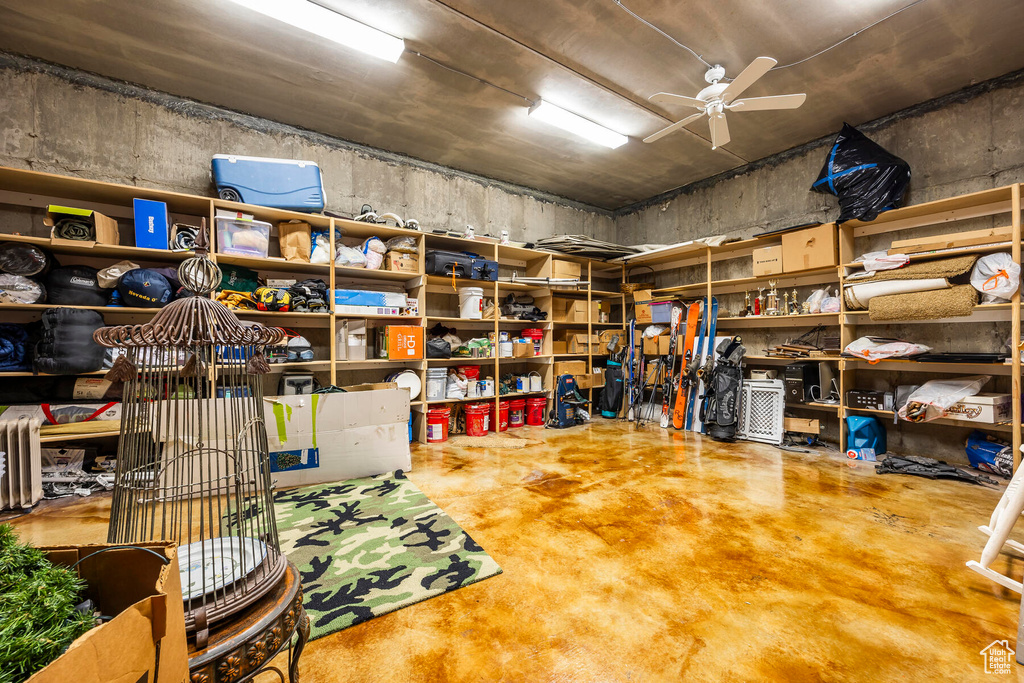 Storage featuring ceiling fan