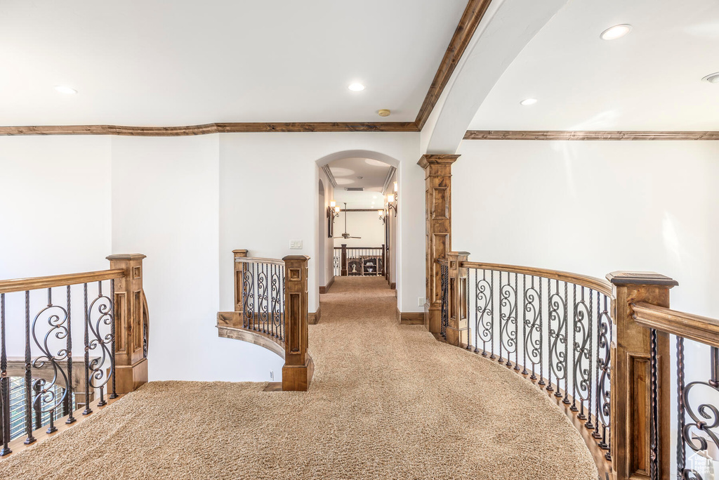 Hall with carpet floors and ornamental molding