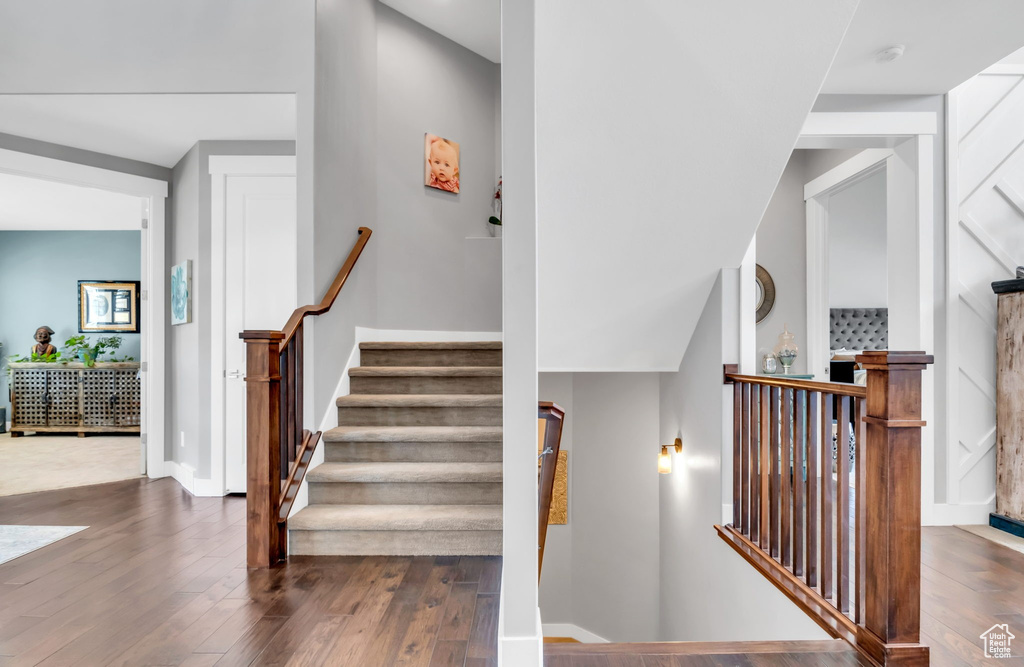 Stairway with dark hardwood / wood-style flooring