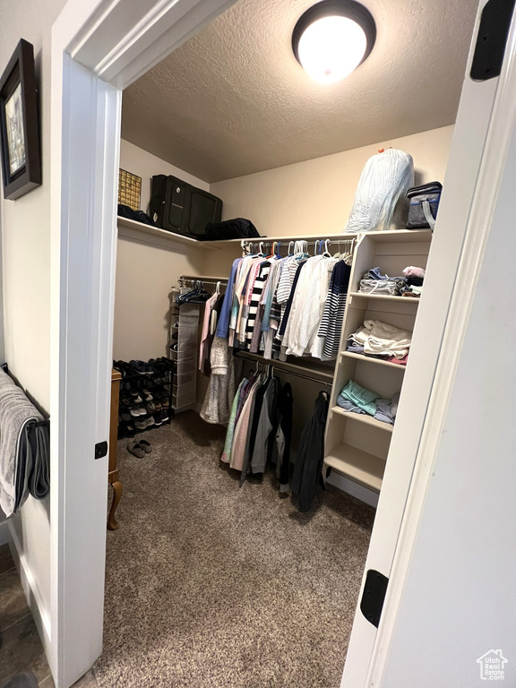 Spacious closet with dark colored carpet
