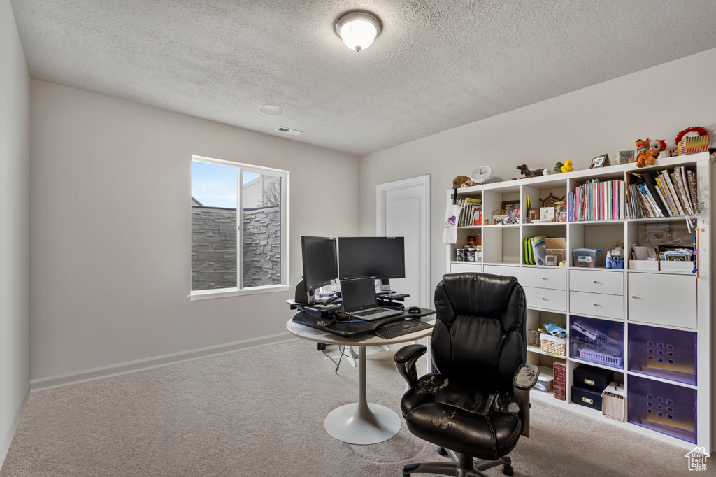 Office area with carpet and a textured ceiling
